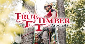 truetimber arborists