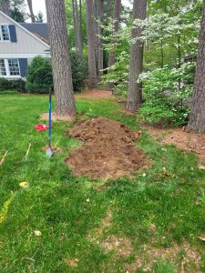 soil health