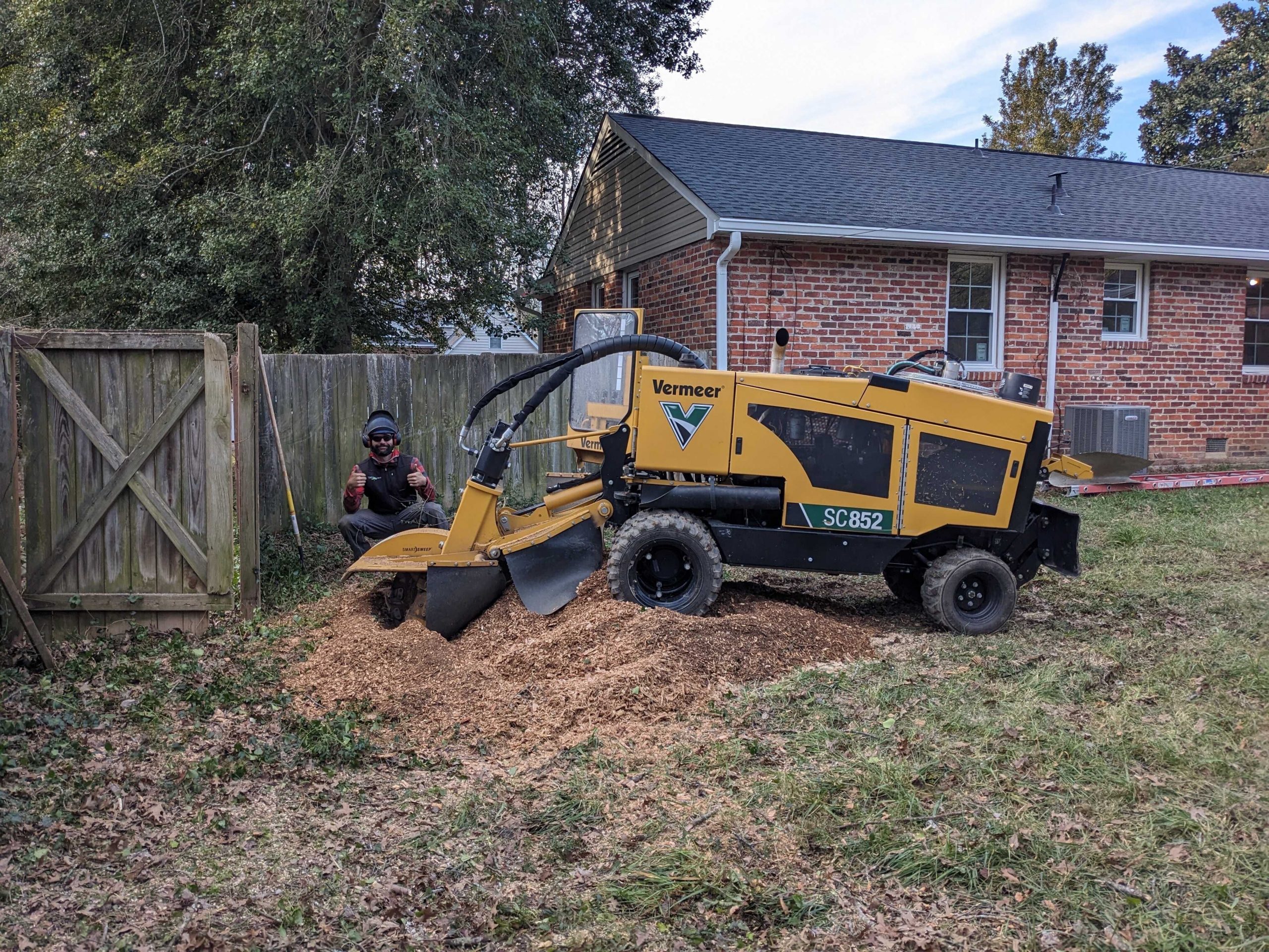 Stump Mulch and New Plants
