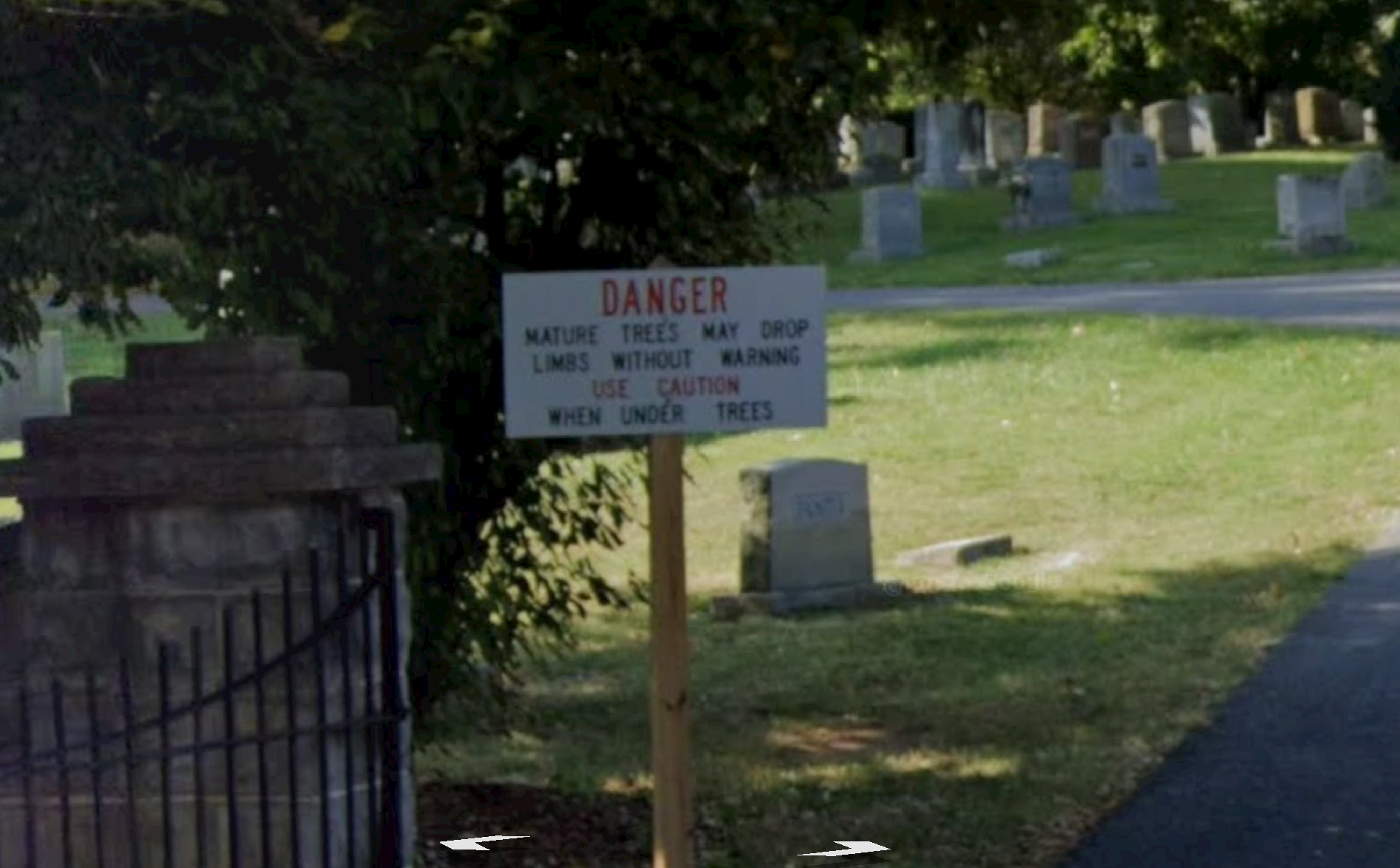 “DANGER- Mature trees may drop limbs without warning. USE CAUTION when under trees”