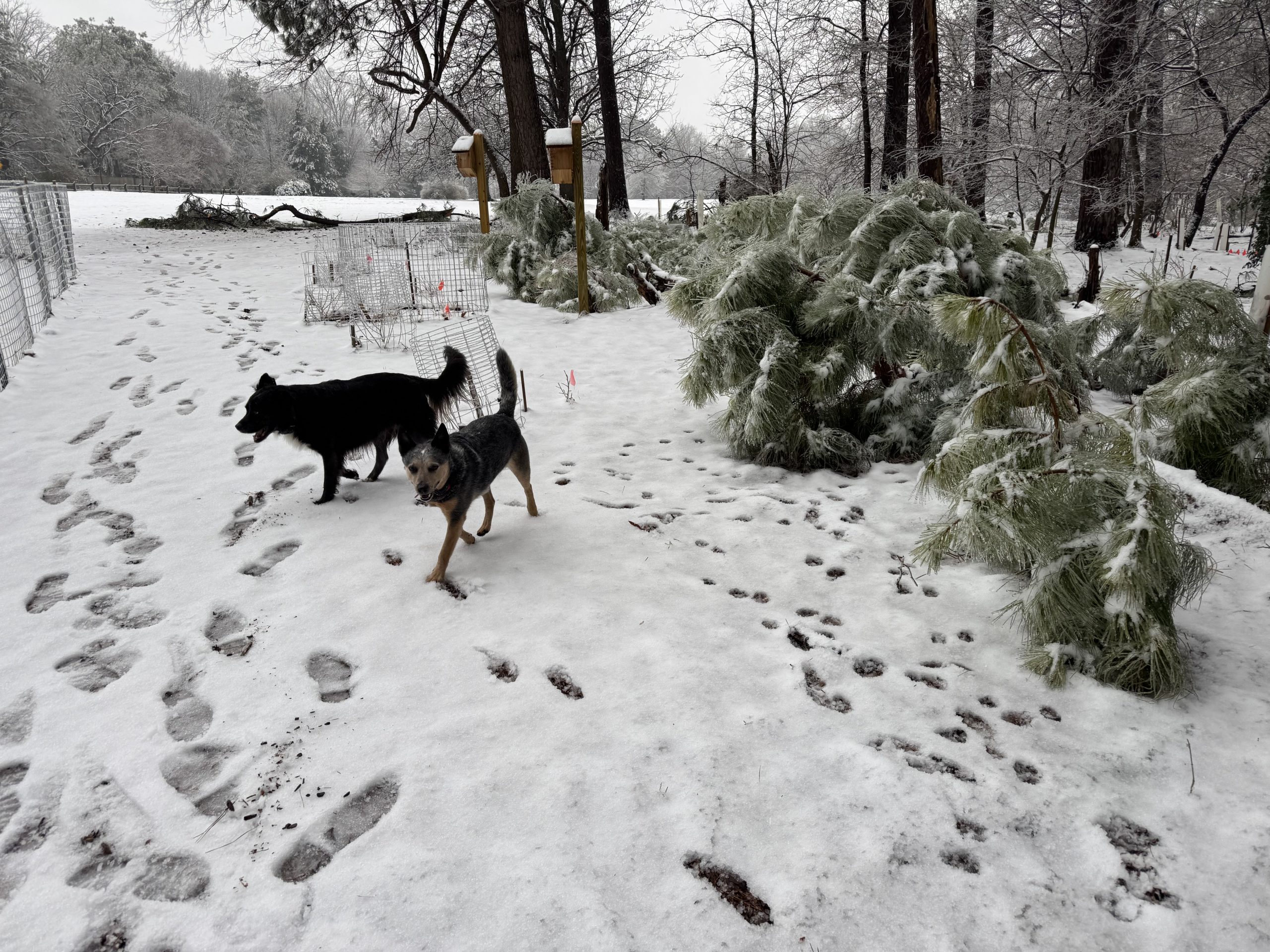 How about that snow huh?