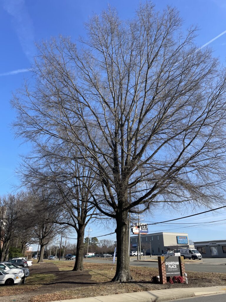 seasonal preparedness