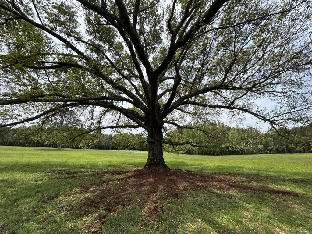 growth regulator, air spading
