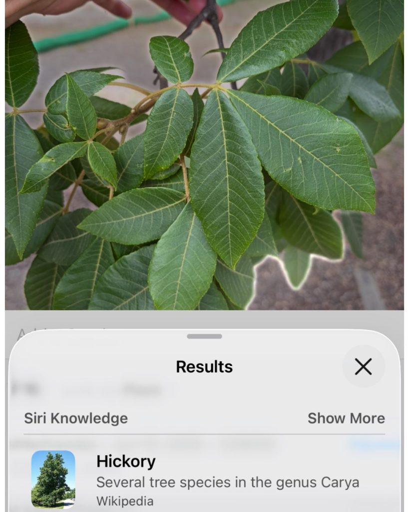 apps arborists use
